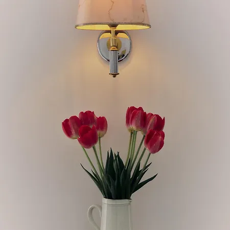 Design Muller Montmartre Citycosy Apartment Paris