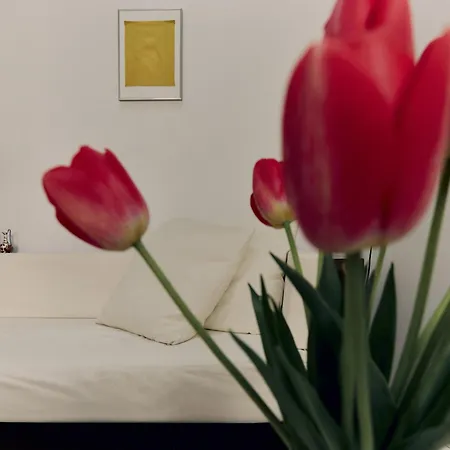 Apartment Design Muller Montmartre Citycosy Paris